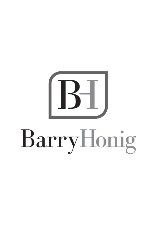 portfolio barry honig